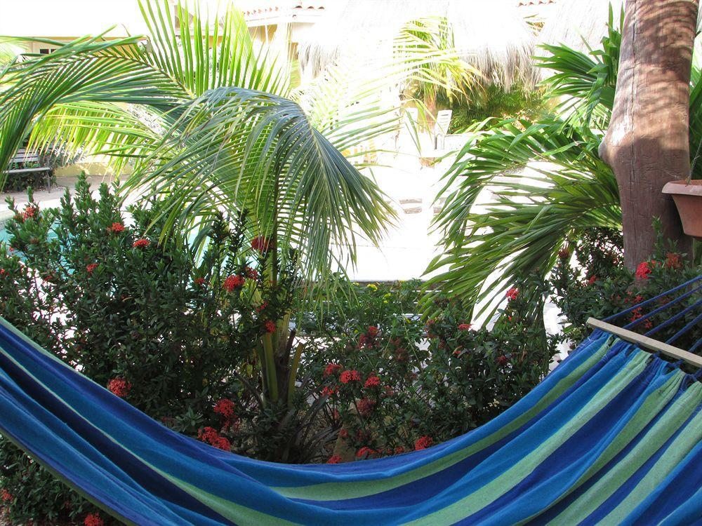 Aruba Tropic Apartments Noord Εξωτερικό φωτογραφία